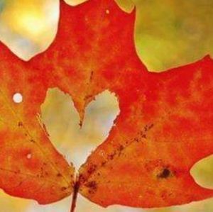 Meet your Posher, Rosie